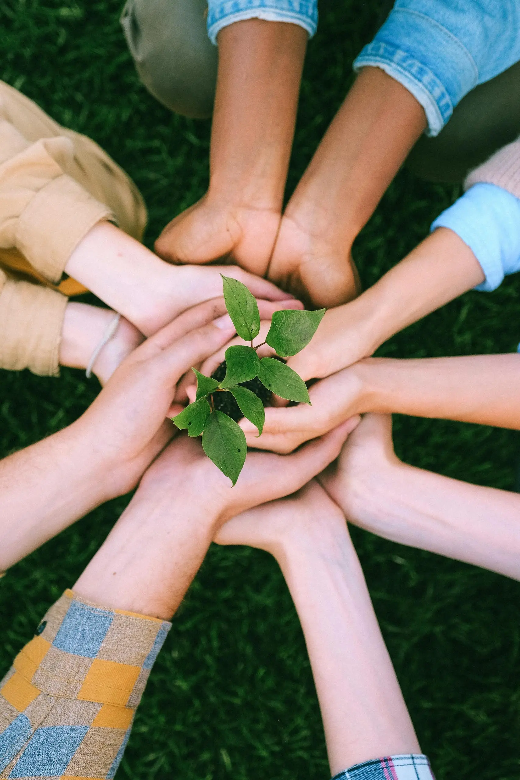 Human Centered Marketing Strategy Bytecode Marketing
